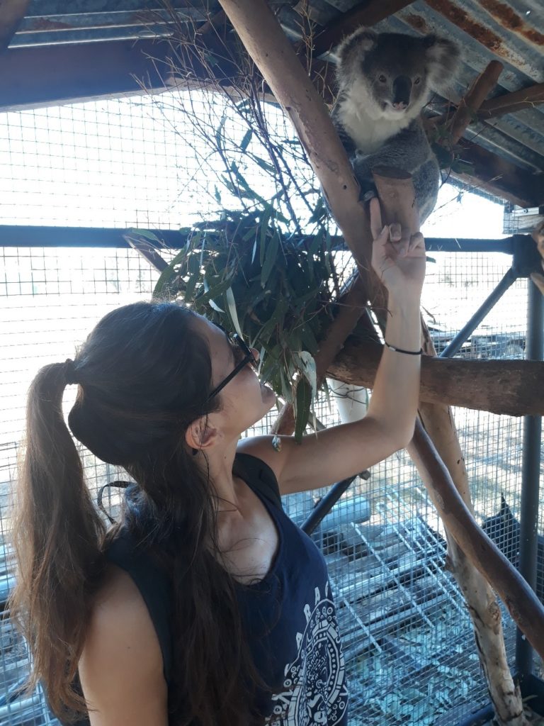 Melissa avec un koala en Australie